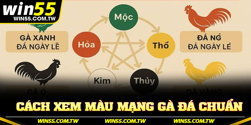 Cách Xem Màu Mạng Gà Đá Chuẩn