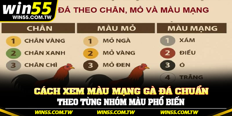 Cách xem màu mạng gà đá chuẩn theo từng nhóm màu phổ biến