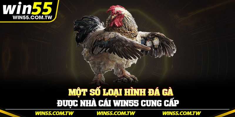Một số loại hình đá gà được nhà cái Win55 cung cấp
